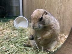 -藦茜花园宠物主题亲子互动体验馆(国顺东路店)