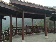 -铁山坪森林公园