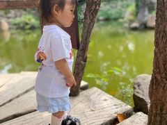 -南岳衡山风景名胜区-南岳大庙