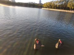 -长春世界雕塑园冰雪艺术天地