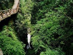 -鹿院坪生态旅游景区