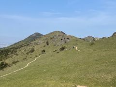 -大姆山草场