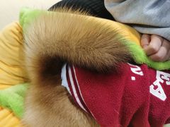 -逗柴咖啡屋·狗咖猫咖宠物桌游