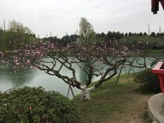 -秀丽东方