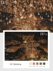 点击看大图 -DC大蔡婚礼策划(李公堤店)