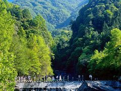 -石台牯牛降景区