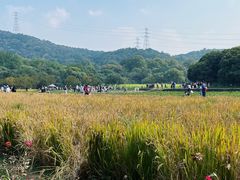 -八卦田遗址公园