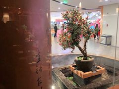 -呷哺呷哺(泰盛广场店)