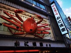 -蟹道乐(道顿堀本店)