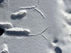 -长白山万达国际滑雪场