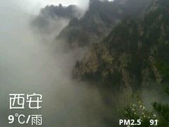 -王顺山国家森林公园
