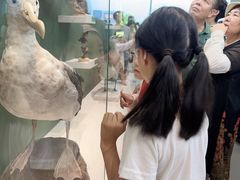 -国家自然博物馆