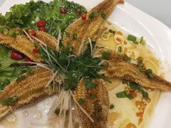 蒸海星-映像威海·海鲜味道(经区店)