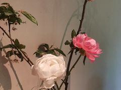 -BOCATA 西班牙餐厅(三里屯店)