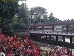 -荔湾湖公园