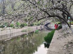 -元大都城垣遗址公园