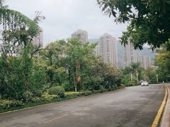 -聚龙小镇