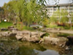 -宁波九龙湖开元度假村