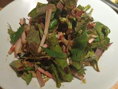 -滇铺子·云南特色菜·第九届野生菌美食节(东风东路c86店)