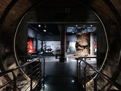 -乐山乌木文化博览苑