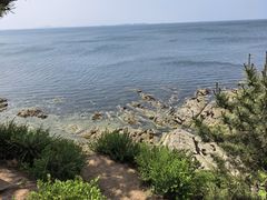 -养马岛旅游度假区