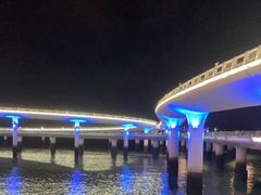 -演武大桥观景平台