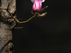 -东华门大街小区