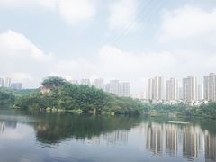 -重庆彩云湖湿地公园