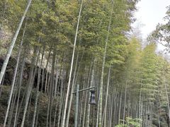 -黄公望隐居地