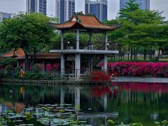 -深圳龙潭公园