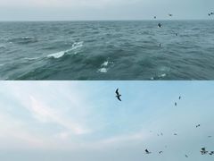 -大连海昌东方水城
