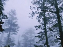 -瓦屋山景区