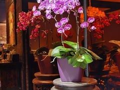-小河盐帮·私家菜·烤鸭(三元桥·霄云路店)