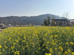 -南北湖风景区