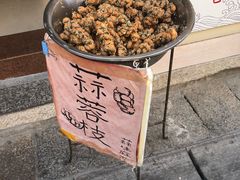 蒜蓉枝-海丝金凤(金鱼店)