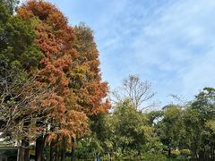 -晓港公园