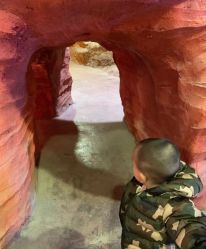 -酷嗒动物文化乐园(cutezoo西溪乐天城店)