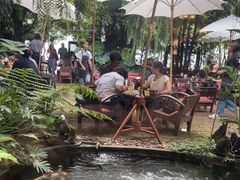 -Fern Forest Cafe