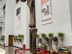 -自贡恐龙博物馆