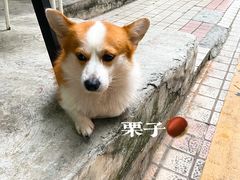 -小梁哥云吞面(黄贝岭店)