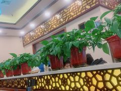 -安业泡馍(小寨店)