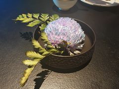 -茶人村·前滩江景雅宴(上海首店)