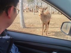 -南京金牛湖风景区
