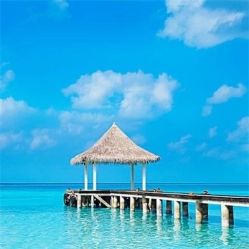 -薇兰专业脱毛连锁机构