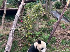 -乐和乐都主题乐园
