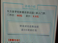 -北京东方普罗旺斯薰衣草庄园
