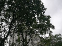 -保利花园