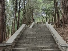 -四门塔风景区