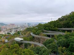 -福道