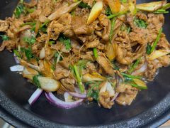 -紫光园·烤鸭(吕家营店)